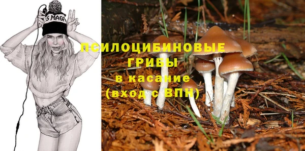 бутират Алзамай