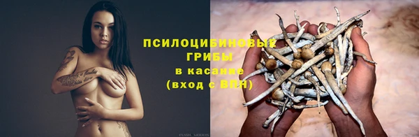 кокс Алексеевка