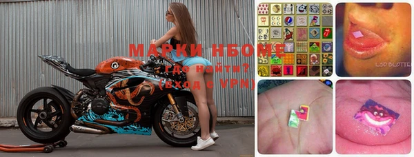 ПСИЛОЦИБИНОВЫЕ ГРИБЫ Горняк