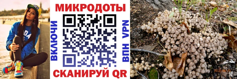 kraken ТОР  Лагань  Галлюциногенные грибы GOLDEN TEACHER 